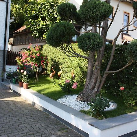 Ferienwohnung Im Gruenen Goessweinstein Exteriör bild
